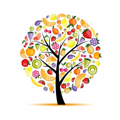 Alimentation entérale